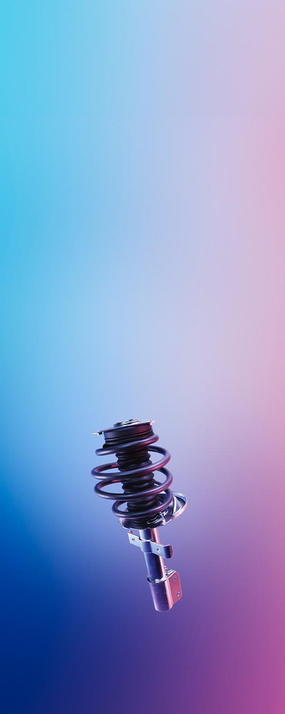 Renault Care Service